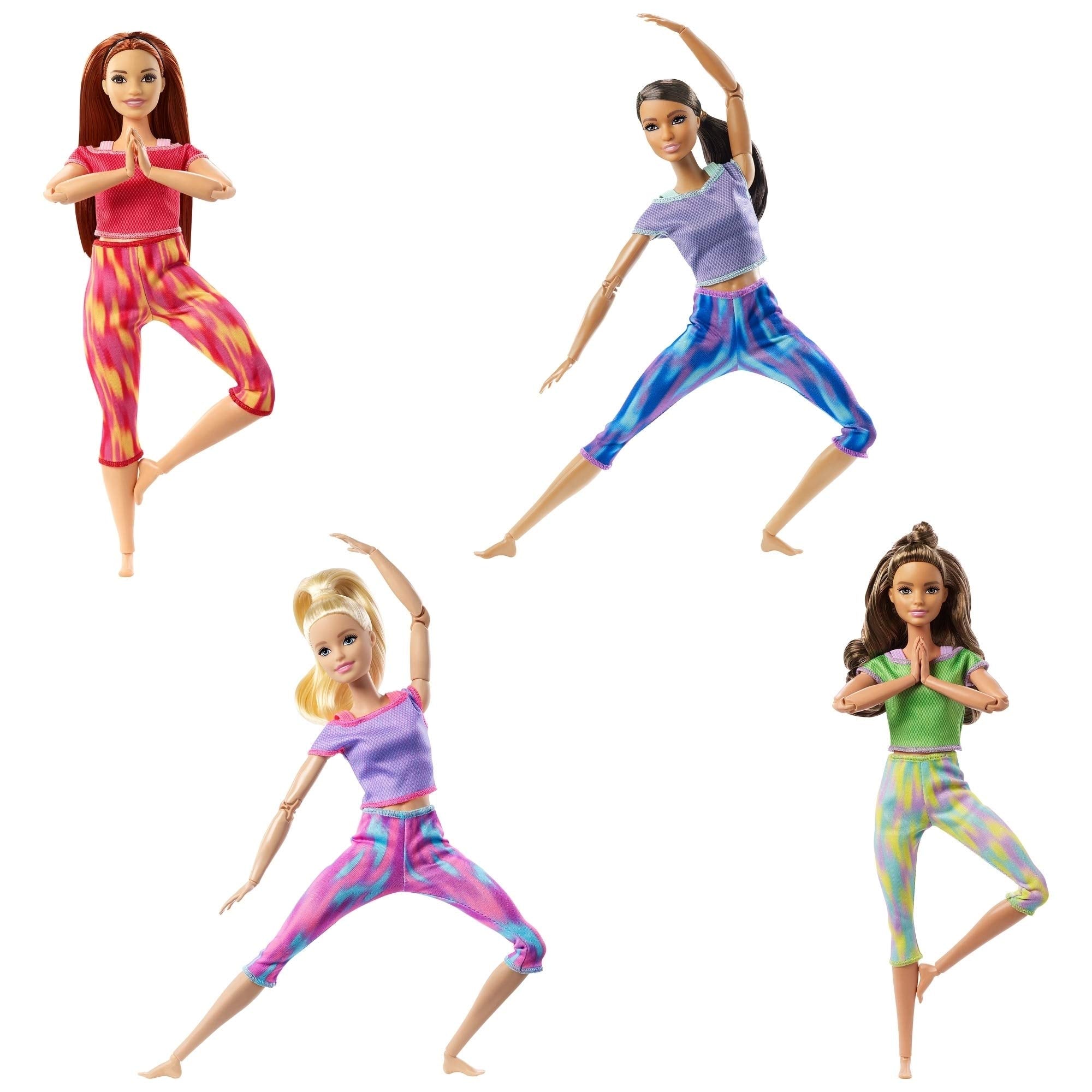 FTG80 Barbie Fabulous Wellness Made 2 Move Doll (Assorted)