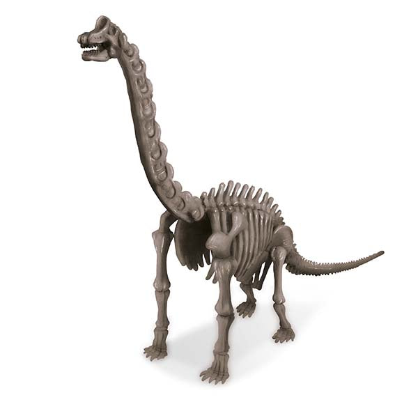 4M KidzLabs Dig a Brachiosaurus Skeleton | Isetan KL Online Store