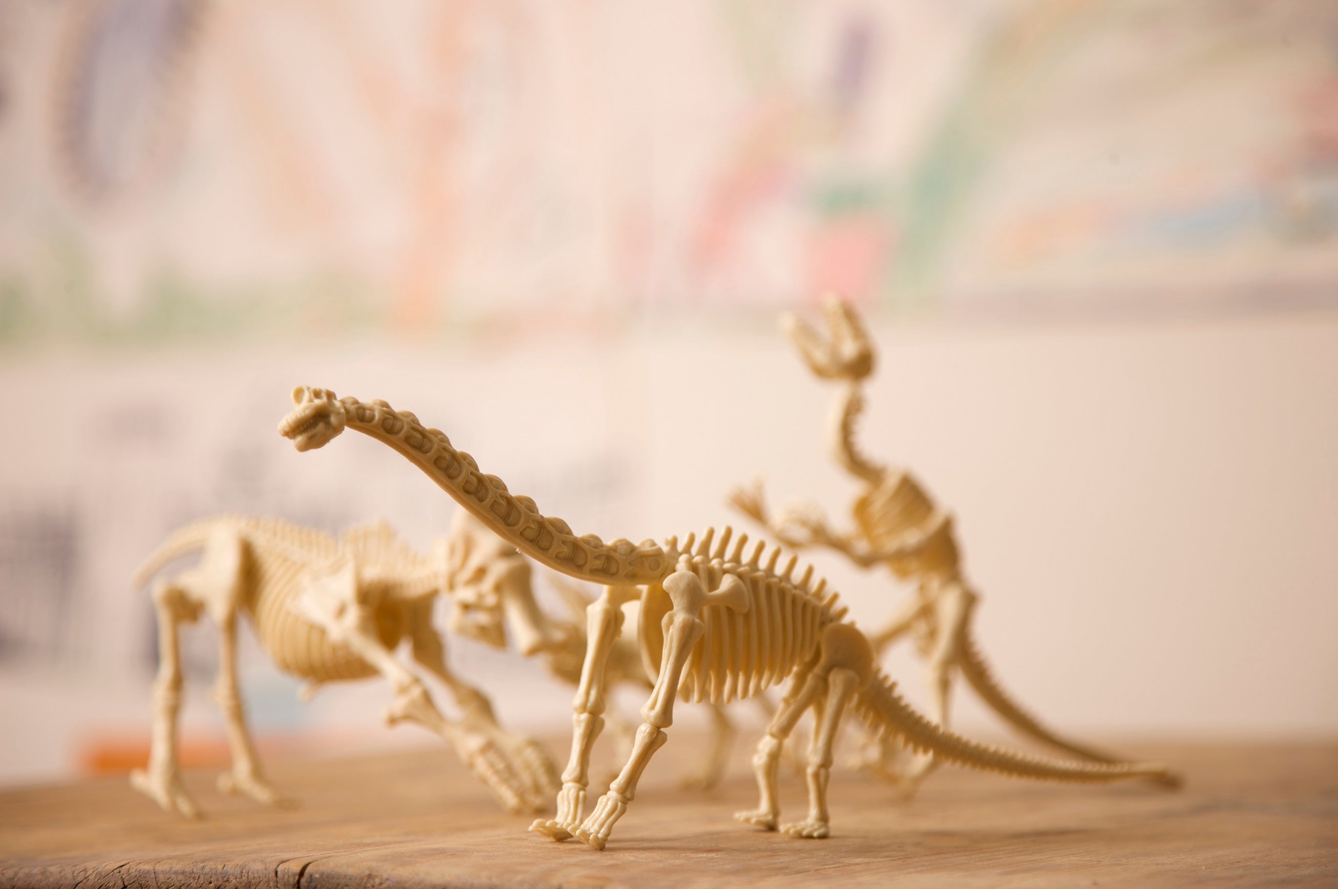 4M KidzLabs Dig a Stegosaurus Skeleton | Isetan KL Online Store