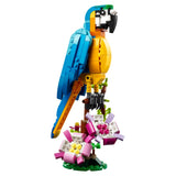 31136 Exotic Parrot